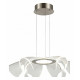 Подвесная люстра ST Luce Fairy SL6235.103.20