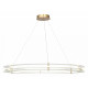 Подвесная люстра ST Luce Fagy SL6245.213.01