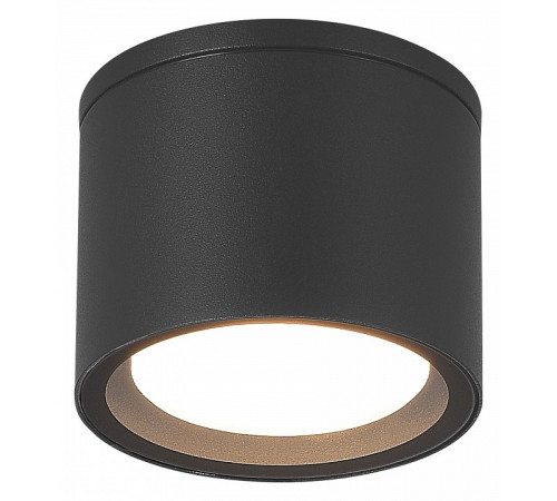 Уличный потолочный светильник ST Luce Tubo SL9006.702.01