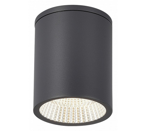 Уличный потолочный светильник ST Luce Tubo SL9514.712.01