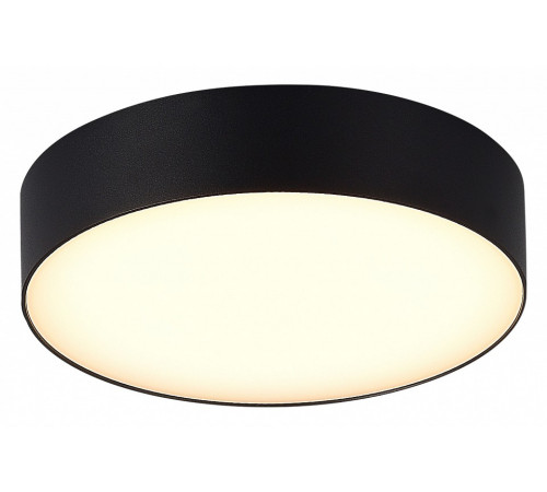 Уличный потолочный светильник ST Luce Sun SL9518.402.01 Уличный потолочный светильник ST Luce Sun SL9518.402.01