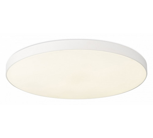 Потолочный светильник Simple Story 1204-LED48CL