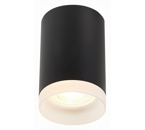 Накладной светильник ST Luce ST100 ST100.402.01 Накладной светильник ST Luce ST100 ST100.402.01