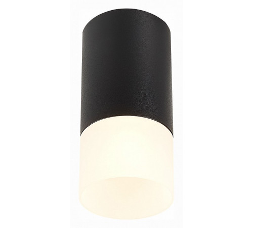 Накладной светильник ST Luce ST100 ST100.412.01 Накладной светильник ST Luce ST100 ST100.412.01