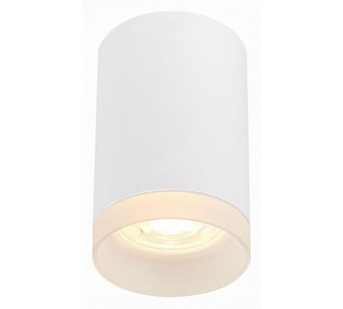 Накладной светильник ST Luce ST100 ST100.502.01 Накладной светильник ST Luce ST100 ST100.502.01