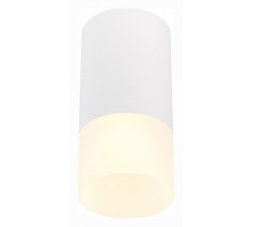 Накладной светильник ST Luce ST100 ST100.512.01 Накладной светильник ST Luce ST100 ST100.512.01