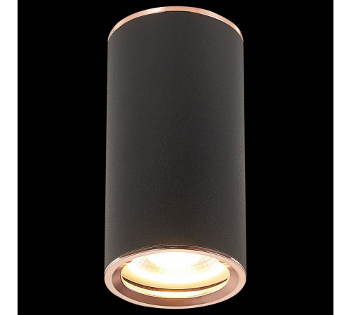 Потолочный светильник ST Luce Chomus ST111.427.01