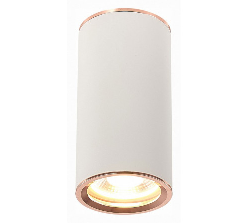 Потолочный светильник ST Luce Chomus ST111.527.01