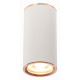 Потолочный светильник ST Luce Chomus ST111.527.01