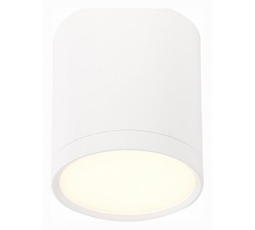 Потолочный светильник ST Luce Rene ST113.532.05