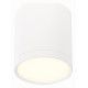 Потолочный светильник ST Luce Rene ST113.532.05