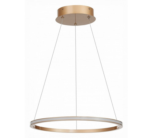 Подвесной светильник ST Luce ST604 Out ST604.243.22 Подвесной светильник ST Luce ST604 Out ST604.243.22