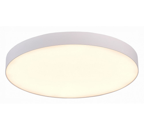 Потолочный светильник ST Luce ST606.532.96 Потолочный светильник ST Luce ST606.532.96
