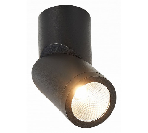 Светодиодный спот ST Luce ST650.442.10 Светодиодный спот ST Luce ST650.442.10