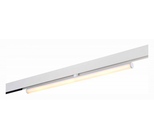 Трековый светодиодный светильник ST Luce Skyline 48 ST803.536.10