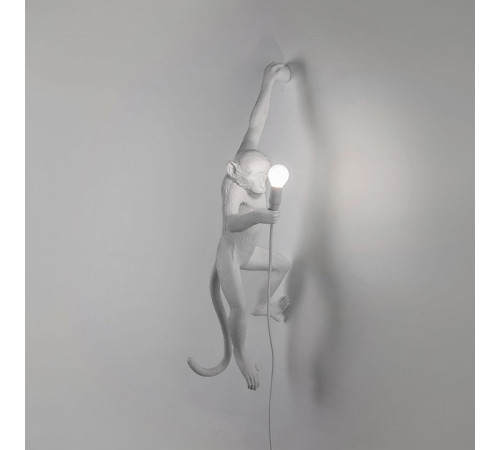 Настенный светильник Seletti Monkey Lamp 14881
