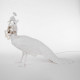 Настольная лампа Seletti Peacock 14672