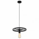 Подвесной светильник Toplight Vanessa TL1201H-01BK