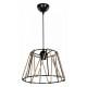 Подвесной светильник Toplight Georgiana TL1607H-01BK