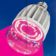 Лампа светодиодная для растений (11098) Uniel E27 20W прозрачная LED-M80-20W/SP/E27/CL ALS55WH