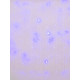 Светодиодная гирлянда (UL-00006420) Uniel занавес 220V синий ULD-C1510-160/DTA Blue IP20