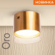 Спот Wolta Oro WSL-GX53/S07G