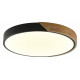 Потолочный светильник Zortes Alberro ZRS.01237.90