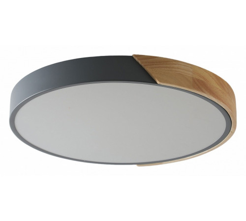 Потолочный светильник Zortes Alberro ZRS.01280.90 Потолочный светильник Zortes Alberro ZRS.01280.90