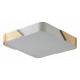 Потолочный светильник Zortes Alberro ZRS.01285.60
