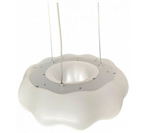 Подвесной светильник Zortes Soft ZRS.1119.01