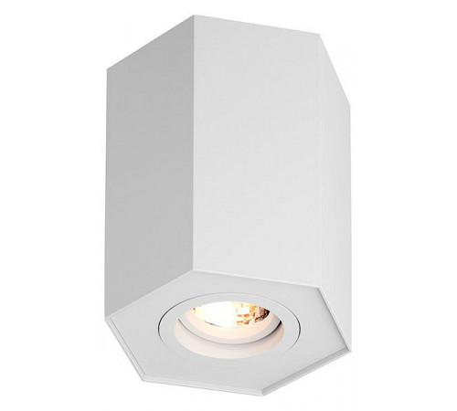 Потолочный светильник Zumaline POLYGON CL R 20077-WH