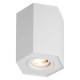 Потолочный светильник Zumaline POLYGON CL R 20077-WH