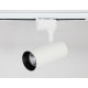 Трековый светильник Ambrella Light Track System GL5821