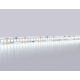 Светодиодная лента Ambrella Light LED Strip 12В 2835 19,2Вт/м 6500K 5м IP20 GS1503