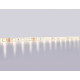 Светодиодная лента Ambrella Light LED Strip 12В 5050 14,4Вт/м 3000K 5м IP65 GS2101