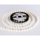 Светодиодная лента Ambrella Light LED Strip 12В 5050 14,4Вт/м RGB 5м IP20 GS2202