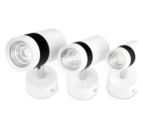 Накладной светильник Ambrella Light TN101/5W WH/BK