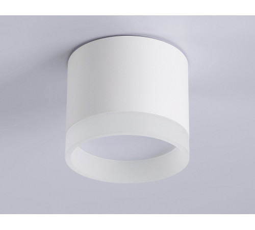 Накладной светильник Ambrella Light Acrylic Frost TN5365 Накладной светильник Ambrella Light Acrylic Frost TN5365