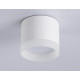 Накладной светильник Ambrella Light Acrylic Frost TN5365