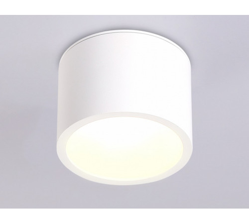Накладной светильник Ambrella Light IP Protect TN6550 Накладной светильник Ambrella Light IP Protect TN6550