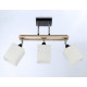 Люстра на штанге Ambrella Light Modern TR9507 УЦ