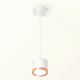 Комплект подвесного светильника Ambrella Light Techno Spot XP8110012 (A2331, C8110, N8126)