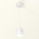 Комплект подвесного светильника Ambrella Light Techno Spot XP8110021 (A2331, C8110, N8433)