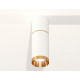 Потолочный светильник Ambrella Light Techno Spot XS6322062 (C6301, A2062, C6322, N6134)