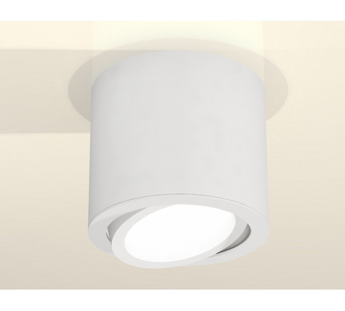 Накладной поворотный светильник Ambrella Light Techno XS7401001 (C7401, N7001)