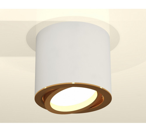 Накладной поворотный светильник Ambrella Light Techno XS7401004 (C7401, N7004) Накладной поворотный светильник Ambrella Light Techno XS7401004 (C7401, N7004)