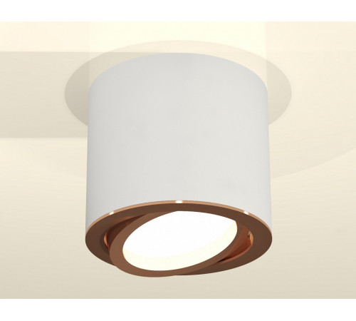 Накладной поворотный светильник Ambrella Light Techno XS7401005 (C7401, N7005) Накладной поворотный светильник Ambrella Light Techno XS7401005 (C7401, N7005)