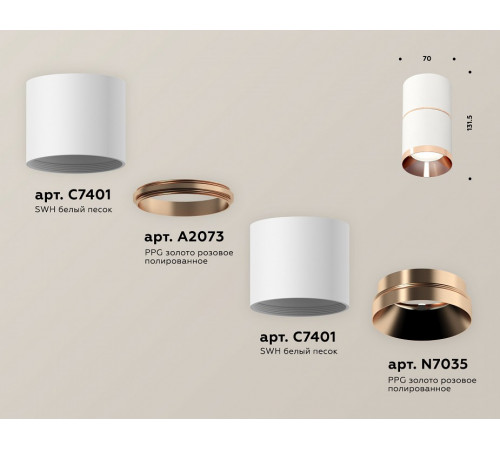 Потолочный светильник Ambrella Light Techno Spot XS7401221 (C7401, A2073, C7401, N7035) Потолочный светильник Ambrella Light Techno Spot XS7401221 (C7401, A2073, C7401, N7035)