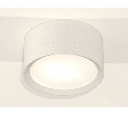 Потолочный светильник Ambrella Light Techno Spot XS8101001 (C8101, N8112)