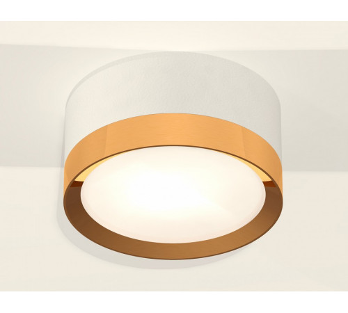 Потолочный светильник Ambrella Light Techno Spot XS8101005 (C8101, N8124)
